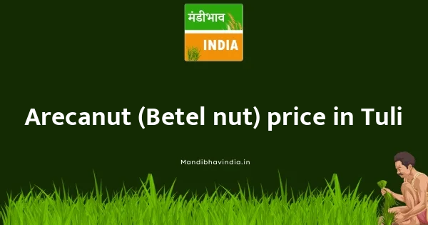 Arecanut (Betel nut) price